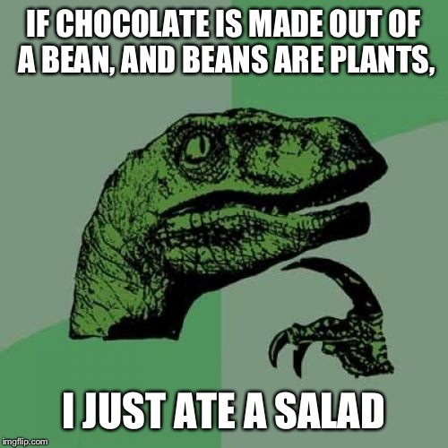 Philosoraptor | IF CHOCOLATE IS MADE OUT OF A BEAN, AND BEANS ARE PLANTS, I JUST ATE A SALAD | image tagged in memes,philosoraptor | made w/ Imgflip meme maker