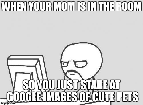 Computer Guy Meme |  WHEN YOUR MOM IS IN THE ROOM; SO YOU JUST STARE AT GOOGLE IMAGES OF CUTE PETS | image tagged in memes,computer guy | made w/ Imgflip meme maker