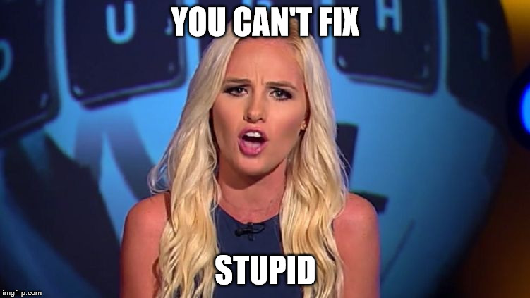 Tomi Lahren | YOU CAN'T FIX; STUPID | image tagged in tomi lahren | made w/ Imgflip meme maker
