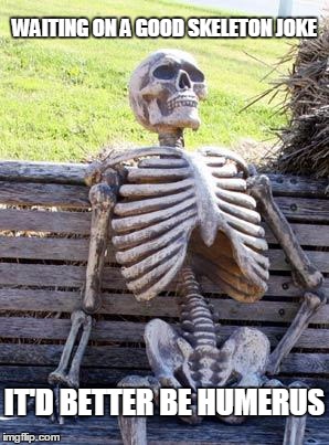 Waiting Skeleton Meme | WAITING ON A GOOD SKELETON JOKE; IT'D BETTER BE HUMERUS | image tagged in memes,waiting skeleton,puns,bad puns | made w/ Imgflip meme maker