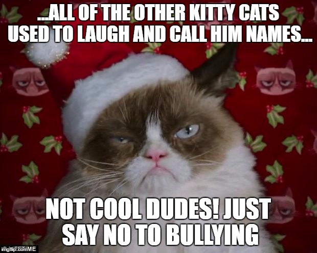 Grumpy Cat Christmas | ...ALL OF THE OTHER KITTY CATS USED TO LAUGH AND CALL HIM NAMES... NOT COOL DUDES! JUST SAY NO TO BULLYING | image tagged in grumpy cat christmas | made w/ Imgflip meme maker