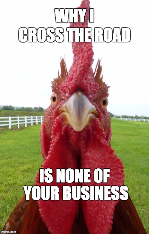 Why Does the Chicken Cross the Road? | WHY I; CROSS THE ROAD; IS NONE OF YOUR BUSINESS | image tagged in cock,chicken | made w/ Imgflip meme maker