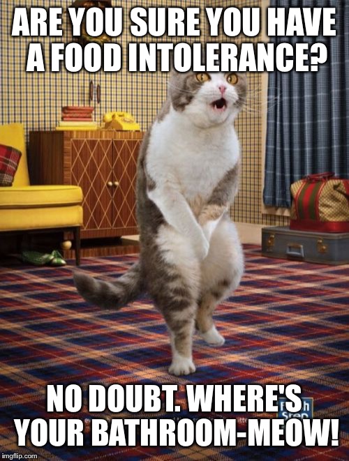 Gotta Go Cat Meme | ARE YOU SURE YOU HAVE A FOOD INTOLERANCE? NO DOUBT. WHERE'S YOUR BATHROOM-MEOW! | image tagged in memes,gotta go cat | made w/ Imgflip meme maker
