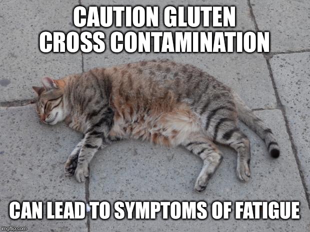 Dead cats can do anything | CAUTION GLUTEN CROSS CONTAMINATION; CAN LEAD TO SYMPTOMS OF FATIGUE | image tagged in dead cats can do anything | made w/ Imgflip meme maker