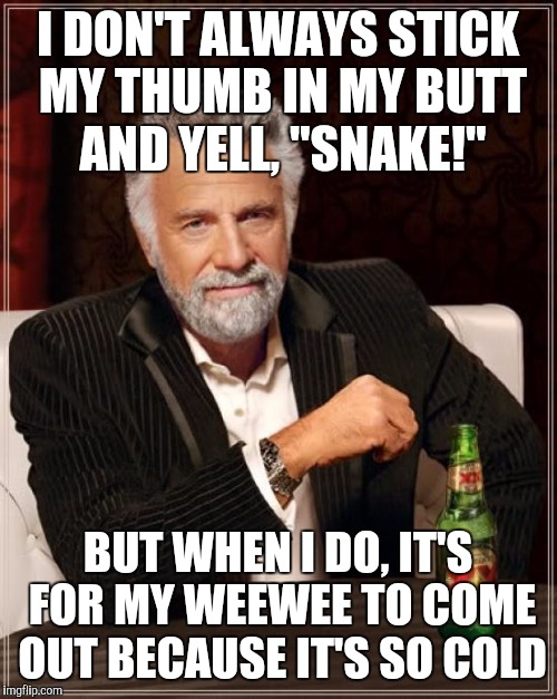 It's c c c c c c cold! | I DON'T ALWAYS STICK MY THUMB IN MY BUTT AND YELL, "SNAKE!"; BUT WHEN I DO, IT'S FOR MY WEEWEE TO COME OUT BECAUSE IT'S SO COLD | image tagged in memes,the most interesting man in the world | made w/ Imgflip meme maker