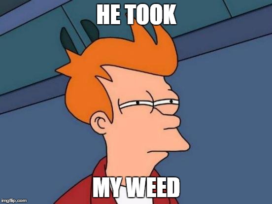 Futurama Fry Meme | HE TOOK; MY WEED | image tagged in memes,futurama fry | made w/ Imgflip meme maker