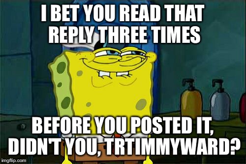 Don't You Squidward Meme | I BET YOU READ THAT REPLY THREE TIMES BEFORE YOU POSTED IT, DIDN'T YOU, TRTIMMYWARD? | image tagged in memes,dont you squidward | made w/ Imgflip meme maker