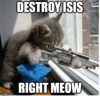 cats with guns | DESTROY ISIS; RIGHT MEOW | image tagged in cats with guns | made w/ Imgflip meme maker