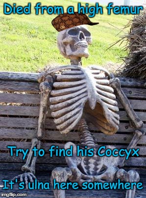 Waiting Skeleton Meme | Died from a high femur Try to find his Coccyx It's ulna here somewhere | image tagged in memes,waiting skeleton,scumbag | made w/ Imgflip meme maker
