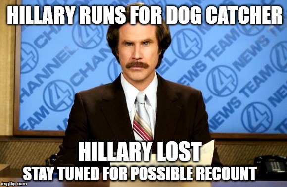 This just in | HILLARY RUNS FOR DOG CATCHER; HILLARY LOST; STAY TUNED FOR POSSIBLE RECOUNT | image tagged in this just in | made w/ Imgflip meme maker