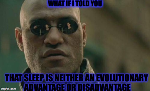 WHAT IF I TOLD YOU THAT SLEEP IS NEITHER AN EVOLUTIONARY ADVANTAGE OR DISADVANTAGE | image tagged in memes,matrix morpheus | made w/ Imgflip meme maker