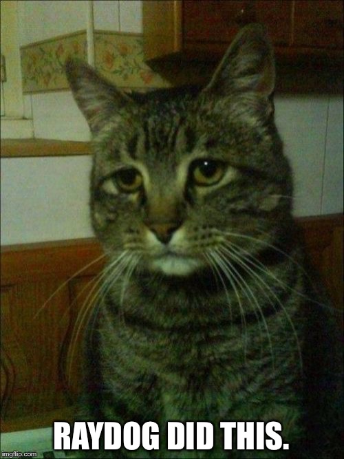 Depressed Cat | RAYDOG DID THIS. | image tagged in memes,depressed cat | made w/ Imgflip meme maker