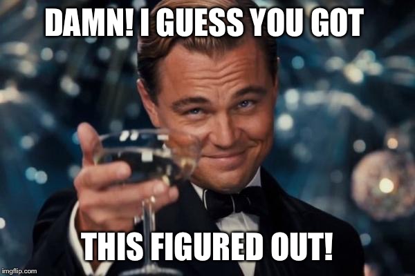 Leonardo Dicaprio Cheers Meme | DAMN! I GUESS YOU GOT THIS FIGURED OUT! | image tagged in memes,leonardo dicaprio cheers | made w/ Imgflip meme maker