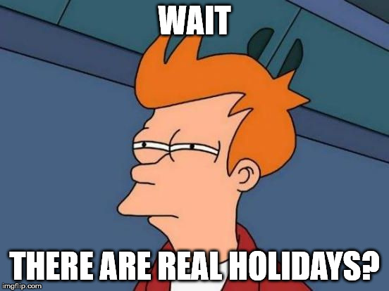 Futurama Fry Reverse | WAIT THERE ARE REAL HOLIDAYS? | image tagged in futurama fry reverse | made w/ Imgflip meme maker