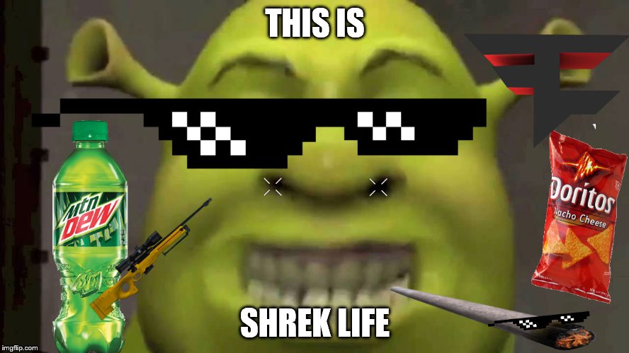 SHREKT | THIS IS; SHREK LIFE | image tagged in shrekt | made w/ Imgflip meme maker