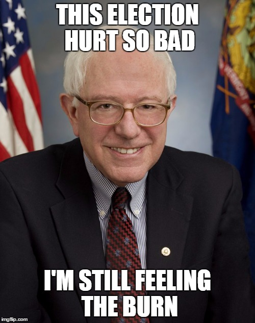 Bernie Sanders | THIS ELECTION HURT SO BAD; I'M STILL FEELING THE BURN | image tagged in bernie sanders | made w/ Imgflip meme maker