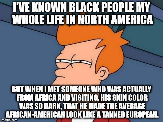 Futurama Fry Reverse | I'VE KNOWN BLACK PEOPLE MY WHOLE LIFE IN NORTH AMERICA BUT WHEN I MET SOMEONE WHO WAS ACTUALLY FROM AFRICA AND VISITING, HIS SKIN COLOR WAS  | image tagged in futurama fry reverse | made w/ Imgflip meme maker