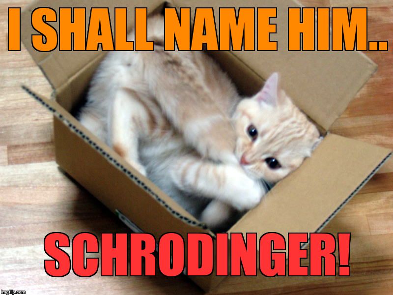 Cat in a Box | I SHALL NAME HIM.. SCHRODINGER! | image tagged in cat in a box | made w/ Imgflip meme maker