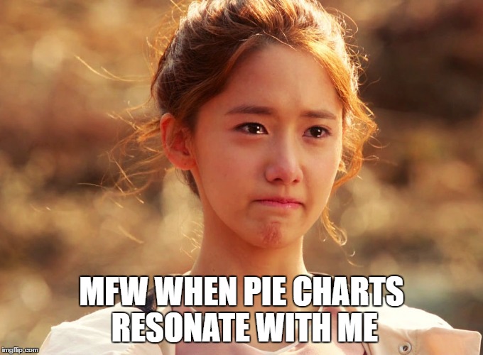 Yoona Crying | MFW WHEN PIE CHARTS RESONATE WITH ME | image tagged in yoona crying | made w/ Imgflip meme maker