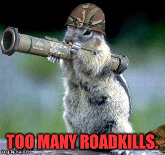 Bazooka Squirrel Meme | TOO MANY ROADKILLS. | image tagged in memes,bazooka squirrel | made w/ Imgflip meme maker