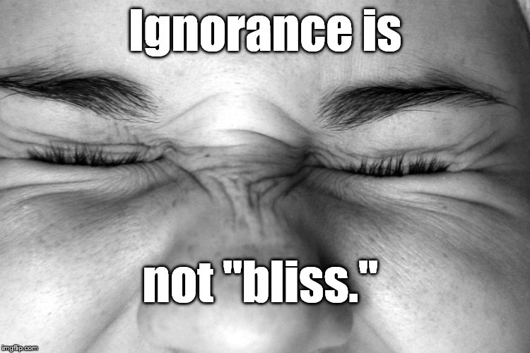 Ewww, I can't watch. | Ignorance is not "bliss." | image tagged in ewww i can't watch. | made w/ Imgflip meme maker