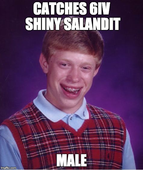Pokemon Sun and Moon Salandit | CATCHES 6IV SHINY SALANDIT; MALE | image tagged in memes,bad luck brian,salandit,pokemon sun and moon,salazzle,shiny | made w/ Imgflip meme maker