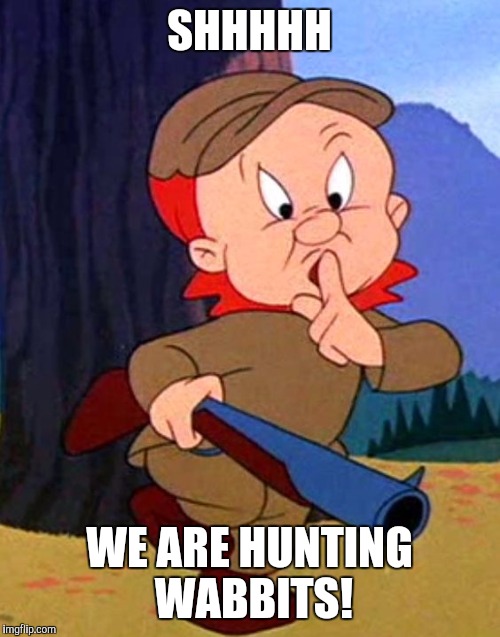 Elmer Quiet | SHHHHH; WE ARE HUNTING WABBITS! | image tagged in elmer quiet | made w/ Imgflip meme maker