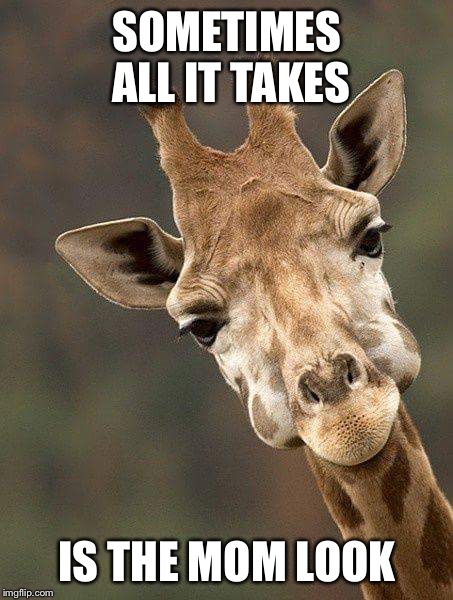 Giraffe  | SOMETIMES ALL IT TAKES; IS THE MOM LOOK | image tagged in giraffe | made w/ Imgflip meme maker