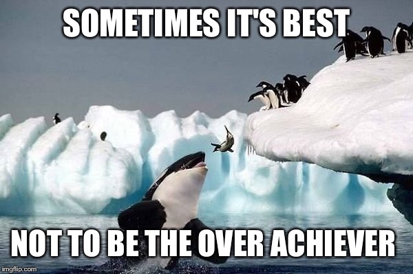 Killer whale | SOMETIMES IT'S BEST; NOT TO BE THE OVER ACHIEVER | image tagged in killer whale | made w/ Imgflip meme maker