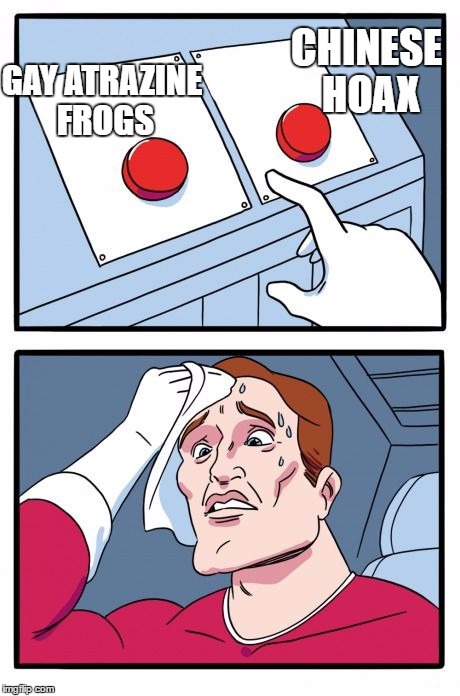 Two Buttons Meme | CHINESE HOAX; GAY ATRAZINE FROGS | image tagged in the daily struggle | made w/ Imgflip meme maker