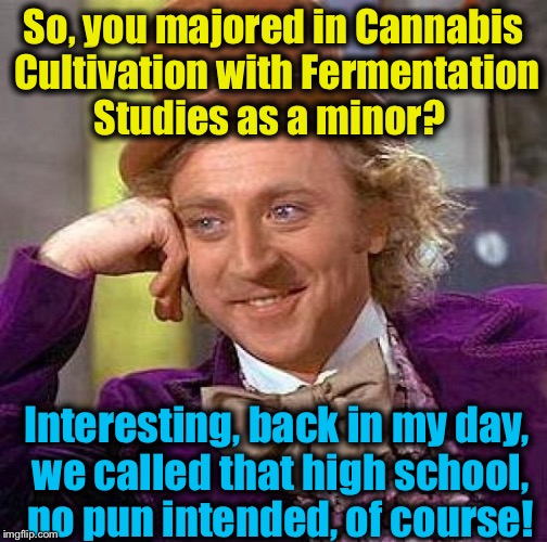I actually looked this up, college students are borrowing money to learn what my generation learned in high school for free. | So, you majored in Cannabis Cultivation with Fermentation Studies as a minor? Interesting, back in my day, we called that high school, no pun intended, of course! | image tagged in memes,creepy condescending wonka,evilmandoevil,millennials,funny | made w/ Imgflip meme maker