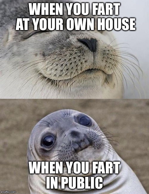 The Rules of Farting | WHEN YOU FART AT YOUR OWN HOUSE; WHEN YOU FART IN PUBLIC | image tagged in farts,memes,awkward moment sealion,satisfied seal | made w/ Imgflip meme maker