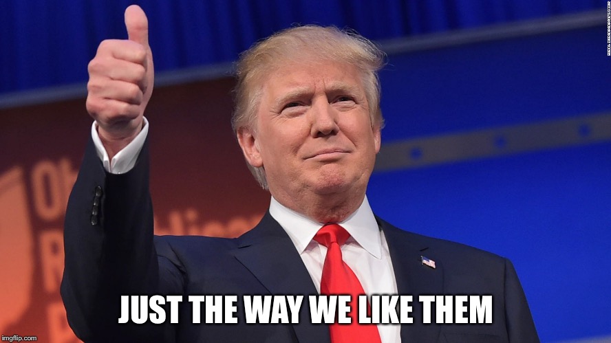Trump Thumbs Up | JUST THE WAY WE LIKE THEM | image tagged in trump thumbs up | made w/ Imgflip meme maker