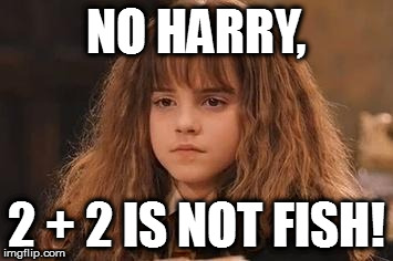Harry Potter - Miss Granger is NOT amused | NO HARRY, 2 + 2 IS NOT FISH! | image tagged in harry potter - miss granger is not amused | made w/ Imgflip meme maker