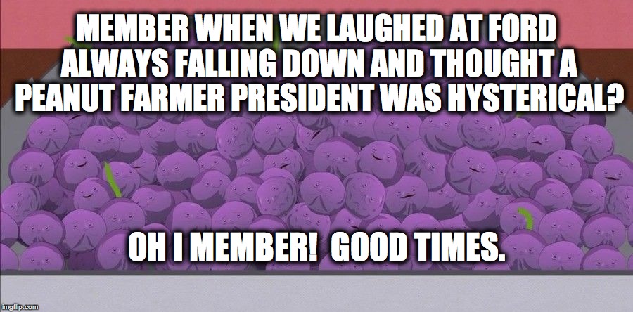 Member berries | MEMBER WHEN WE LAUGHED AT FORD ALWAYS FALLING DOWN AND THOUGHT A PEANUT FARMER PRESIDENT WAS HYSTERICAL? OH I MEMBER!  GOOD TIMES. | image tagged in member berries | made w/ Imgflip meme maker