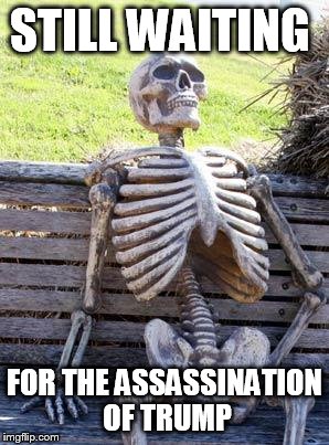 Waiting Skeleton | STILL WAITING; FOR THE ASSASSINATION OF TRUMP | image tagged in memes,waiting skeleton | made w/ Imgflip meme maker