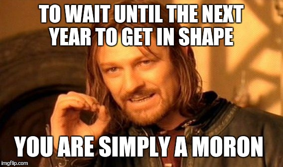 One Does Not Simply Meme | TO WAIT UNTIL THE NEXT YEAR TO GET IN SHAPE; YOU ARE SIMPLY A MORON | image tagged in memes,one does not simply | made w/ Imgflip meme maker
