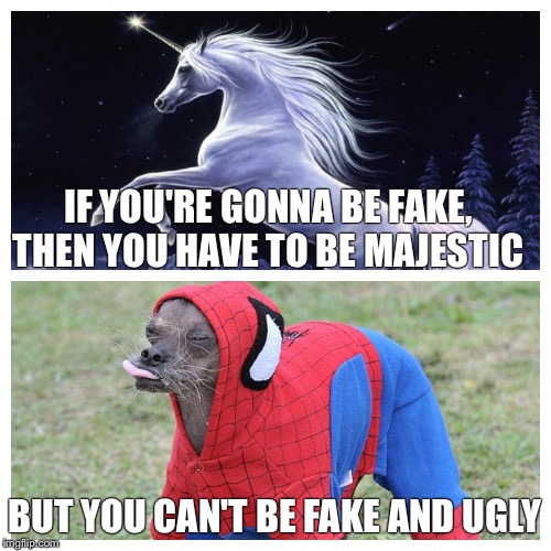 Fake  | IF YOU'RE GONNA BE FAKE, THEN YOU HAVE TO BE MAJESTIC; BUT YOU CAN'T BE FAKE AND UGLY | image tagged in fake people | made w/ Imgflip meme maker