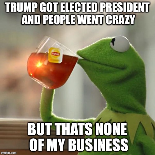 But That's None Of My Business | TRUMP GOT ELECTED PRESIDENT AND PEOPLE WENT CRAZY; BUT THATS NONE OF MY BUSINESS | image tagged in memes,but thats none of my business,kermit the frog | made w/ Imgflip meme maker