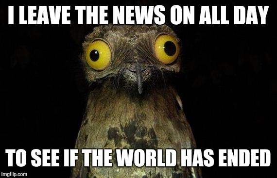 Weird Stuff I Do Potoo | I LEAVE THE NEWS ON ALL DAY; TO SEE IF THE WORLD HAS ENDED | image tagged in memes,weird stuff i do potoo | made w/ Imgflip meme maker