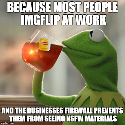 But That's None Of My Business Meme | BECAUSE MOST PEOPLE IMGFLIP AT WORK AND THE BUSINESSES FIREWALL PREVENTS THEM FROM SEEING NSFW MATERIALS | image tagged in memes,but thats none of my business,kermit the frog | made w/ Imgflip meme maker