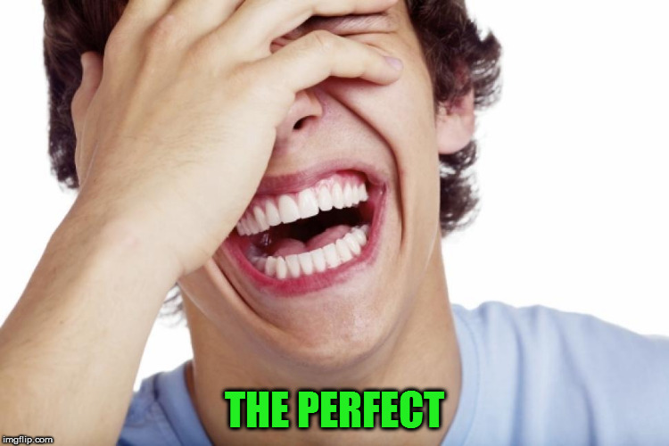 THE PERFECT | made w/ Imgflip meme maker