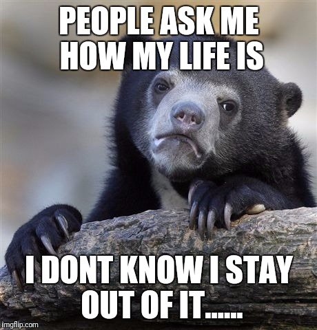 Confession Bear | PEOPLE ASK ME HOW MY LIFE IS; I DONT KNOW I STAY OUT OF IT...... | image tagged in memes,confession bear | made w/ Imgflip meme maker