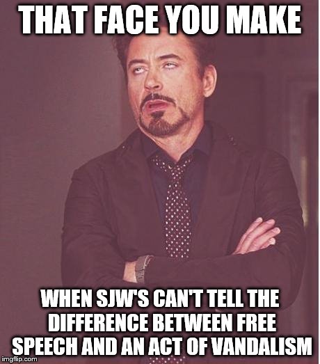 hint: if it's not yours, don't burn it | THAT FACE YOU MAKE; WHEN SJW'S CAN'T TELL THE DIFFERENCE BETWEEN FREE SPEECH AND AN ACT OF VANDALISM | image tagged in memes,face you make robert downey jr | made w/ Imgflip meme maker