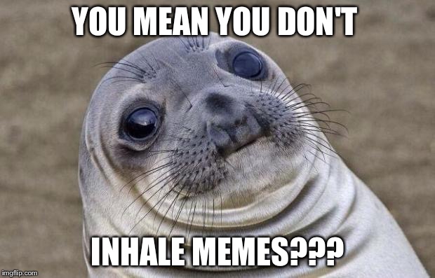 Awkward Moment Sealion | YOU MEAN YOU DON'T; INHALE MEMES??? | image tagged in memes,awkward moment sealion | made w/ Imgflip meme maker