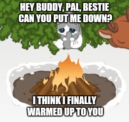 HEY BUDDY, PAL, BESTIE CAN YOU PUT ME DOWN? I THINK I FINALLY WARMED UP TO YOU | image tagged in fire | made w/ Imgflip meme maker