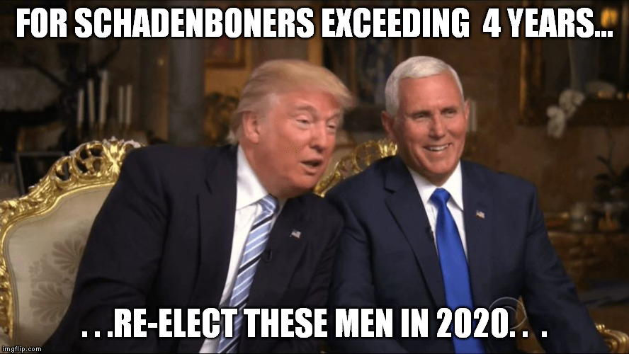 Trump/Pence | FOR SCHADENBONERS EXCEEDING  4 YEARS... . . .RE-ELECT THESE MEN IN 2020. .  . | image tagged in trump/pence | made w/ Imgflip meme maker