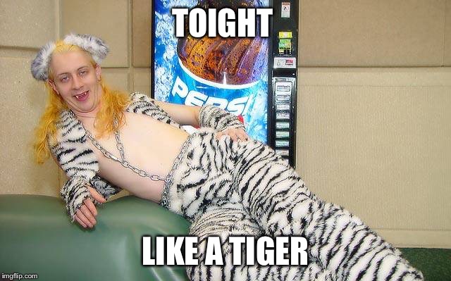 Tight like a tiger | TOIGHT; LIKE A TIGER | image tagged in tight like a tiger | made w/ Imgflip meme maker