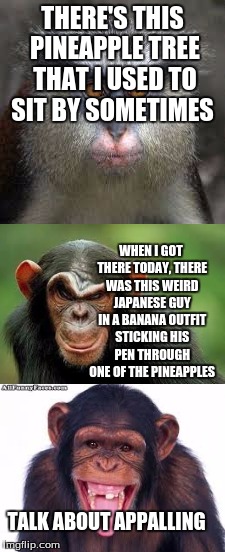 Introducing Bad Pun Monkey! | THERE'S THIS PINEAPPLE TREE THAT I USED TO SIT BY SOMETIMES; WHEN I GOT THERE TODAY, THERE WAS THIS WEIRD JAPANESE GUY IN A BANANA OUTFIT STICKING HIS PEN THROUGH ONE OF THE PINEAPPLES; TALK ABOUT APPALLING | image tagged in bad pun monkey,memes,puns,monkey,funny | made w/ Imgflip meme maker