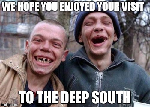 Ugly Twins Meme | WE HOPE YOU ENJOYED YOUR VISIT; TO THE DEEP SOUTH | image tagged in memes,ugly twins | made w/ Imgflip meme maker